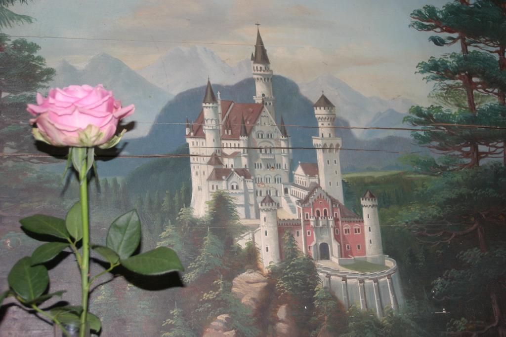 Haus Magnolia Lägenhet Schwangau Exteriör bild